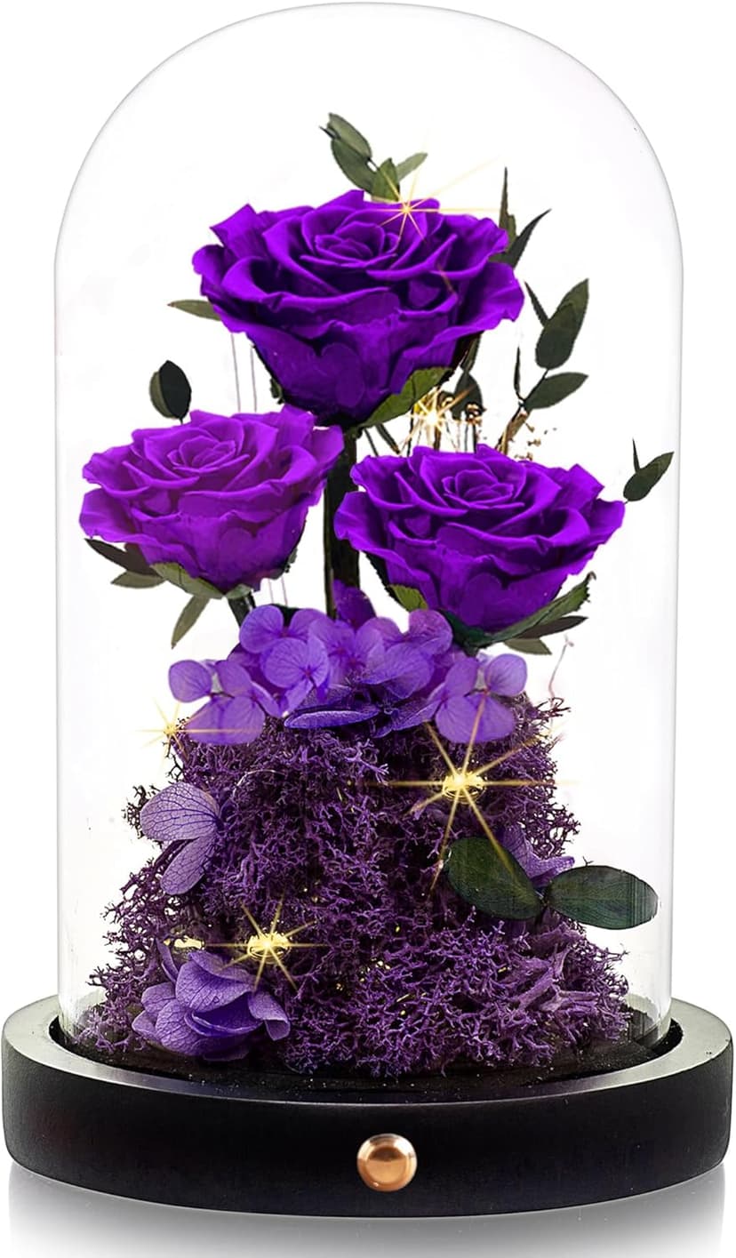 Christmas Flowers Roses Gifts for Mom,Forever Real Preserved Roses in Glass Dome,Christmas Anniversary Thanksgiving Gifts for Wife Girlfriend Women Best Friend Grandma/Purple Rose