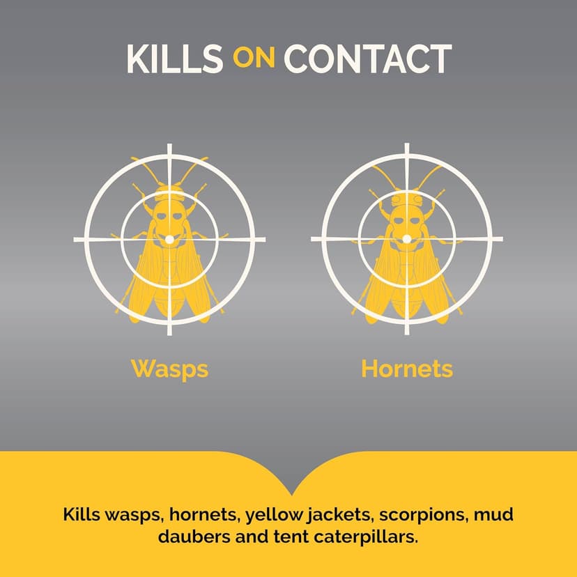 Hot Shot Wasp and Hornet Killer Aerosol, Up to 27-Foot Jet Spray, 14 Ounces, 2 Pack