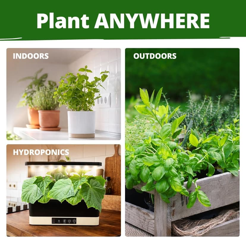 15 Culinary Herb Seeds - Heirloom & Non GMO - High Germination Rate - Seeds for Planting Indoor Hydroponic or Outdoor Herbs Garden | Gardening Gift Men Women Gardeners - Basil, Cilantro, Mint B07JCFWJ98