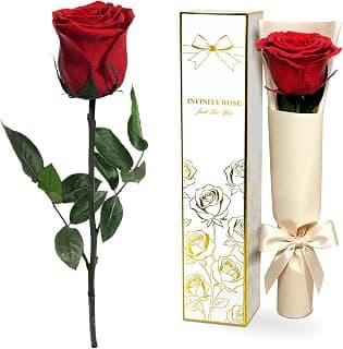 Preserved Rose Flowers for Delivery, Single Red Forever Roses Real Flower Gifts for Women Mom, Mother's Day Wife Anniversary Wedding Graduation Christmas Valentine's Day Rose Gifts for Her Girlfriend B0HBVTMNM1