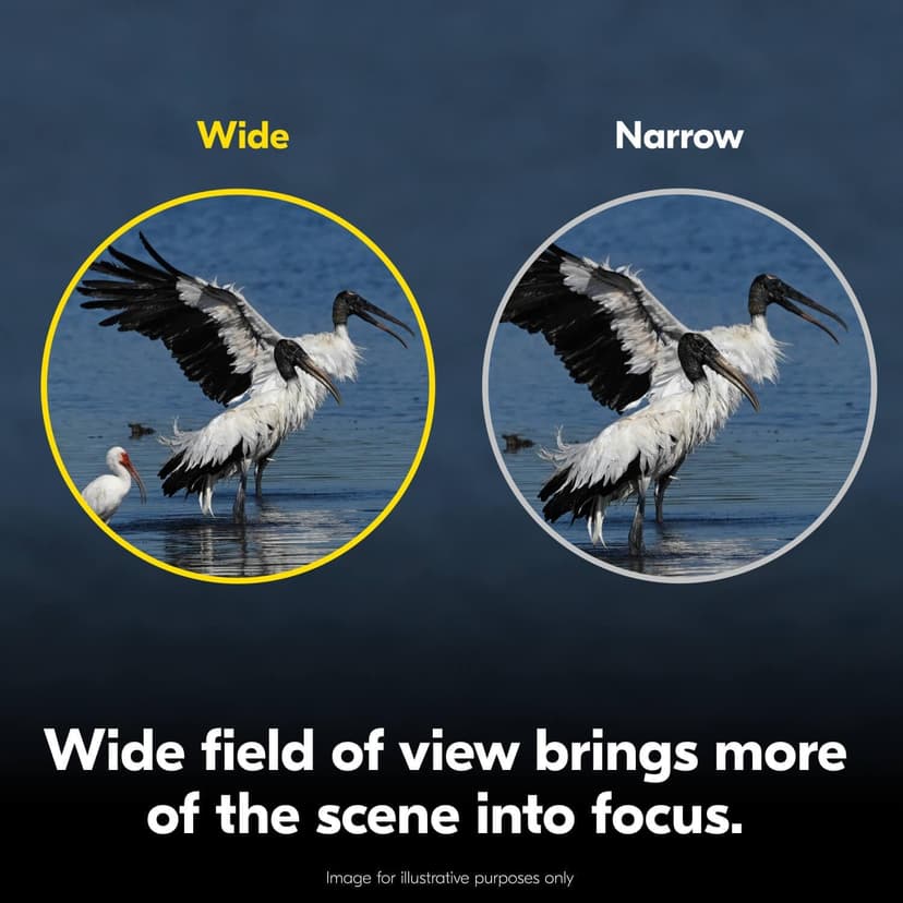 Nikon Action 8x42 Binocular | Multilayer-Coated Nikon Optics, Bright, Wide View, 8X Power, Turn-and-Slide Adjustable eyecups and Tripod-Ready Porro-Prism Design
