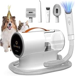 Best Gifts for a New Apartment - Stylish & Practical Housewarming Ideas