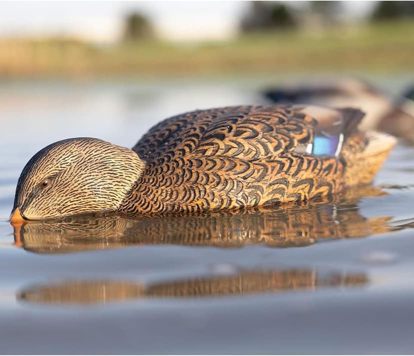 Avian-X Power Shaker Motion Decoy