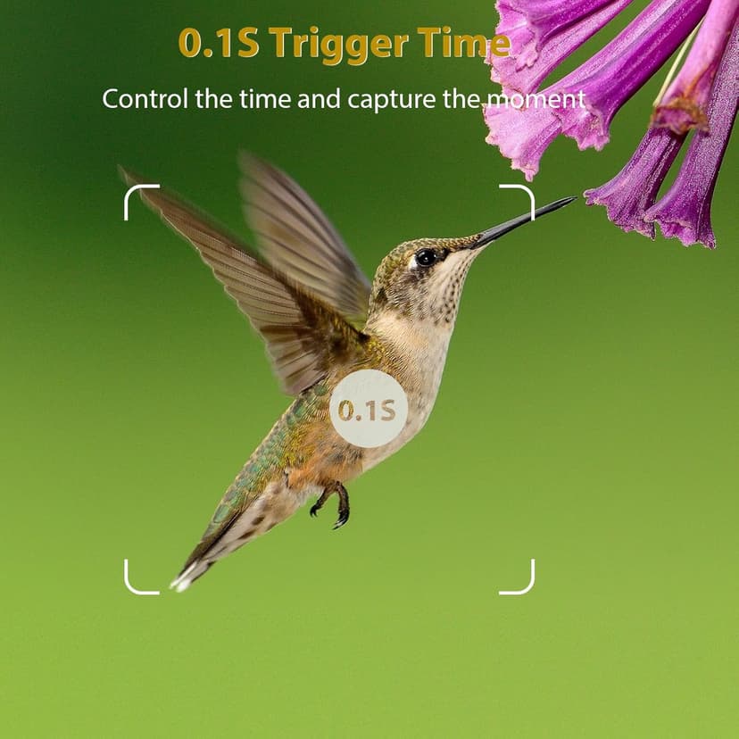 BLAZEVIDEO Game & Trail Camera 32MP Photo & 1296P Video with 100ft Night Vision Motion Activated 0.1s Trigger Speed Waterproof for Home Security, Outdoor Wildlife Scouting