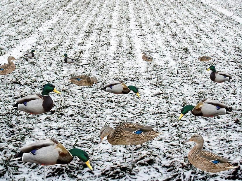 TCDesignerProducts 2D Wildlife Silhouette Decoys, Photo-Realistic Hunting Decoys for Snow Geese, Coyotes, Whitetail Bucks & Does, Mallards, Turkeys, Canadian Geese – Motion & Easy Setup