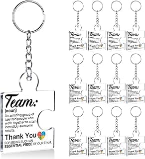 Gift Set for Employee, Staff, Teachers, Teamwork Puzzle Piece Keyring, Acrylic Team Appreciation Gifts Bulk Thank You Keychains for Coworkers B0FD9YB7K3