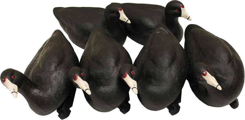 MOJO Outdoors Coot Confidence Decoys for Duck Hunting, Increases Realism and Entices Ducks to Land, Pack of 6