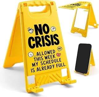 White Elephant Gifts for Adults, Employee Appreciation Gifts, Fun Cubicle Decor Gag Gifts for Men, Team Work Desk Signs Office Desk Decor - Funny Boss Coworker Bosses Day Gifts for Women B0FKYVFCDR