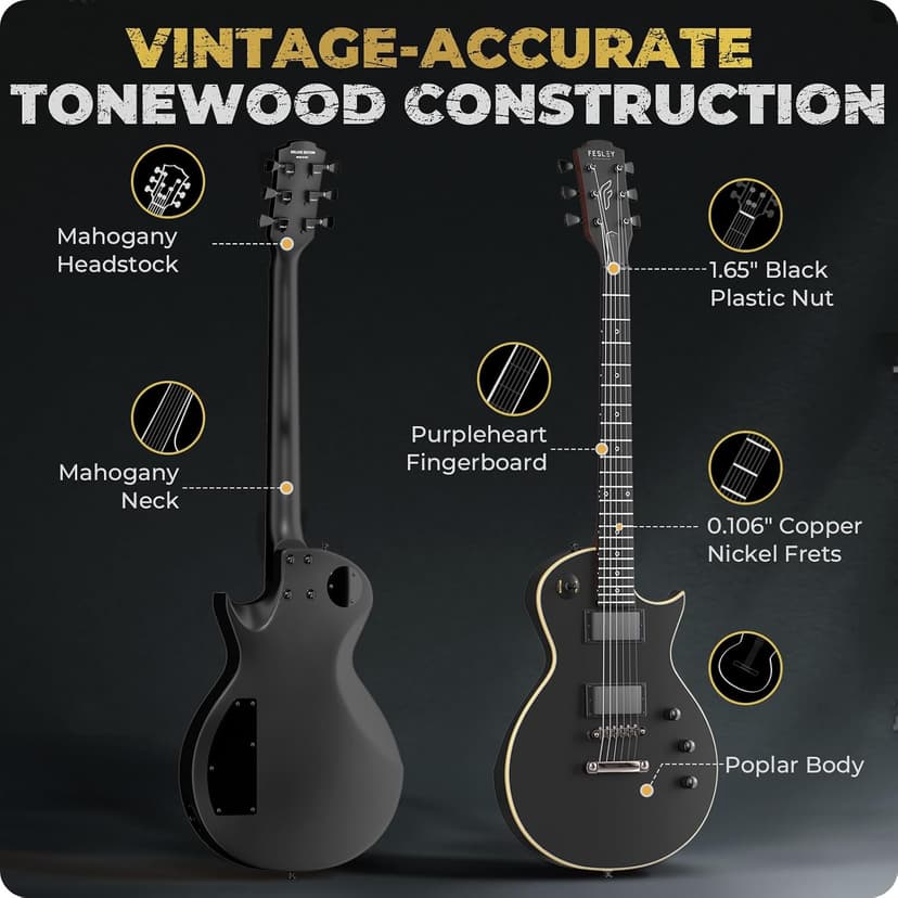 Fesley 39" LP Electric Guitar Kit: Full Size Solid Body Electric Guitars for Beginners with Humbucker Pickups, Poplar Body, Mahogany Neck,22 Frets,6 String Guitar with Gig Bag,Cable,FLP350,Matte,Black