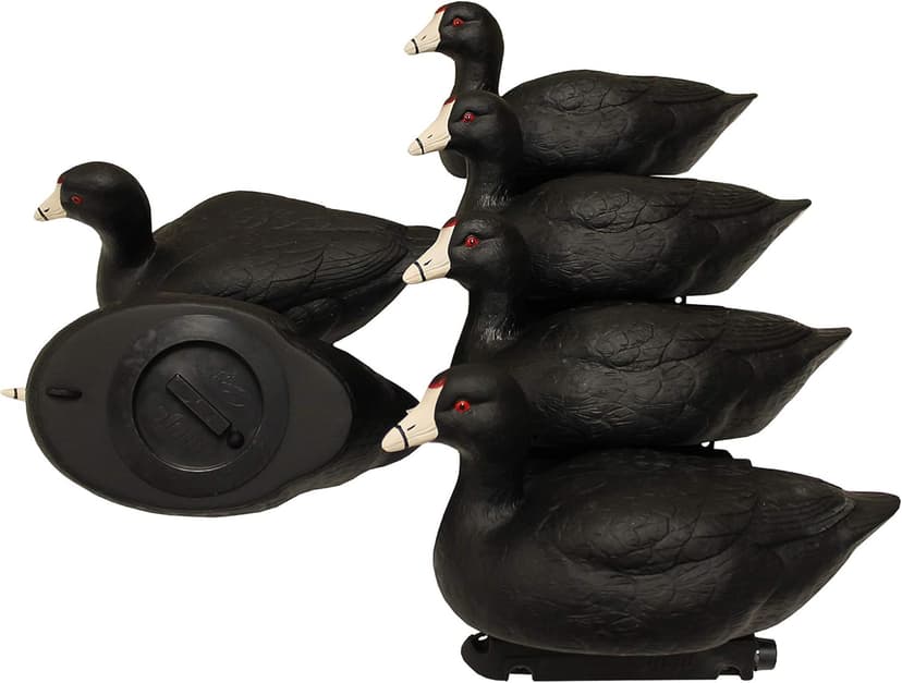 MOJO Outdoors Coot Confidence Decoys for Duck Hunting, Increases Realism and Entices Ducks to Land, Pack of 6