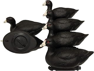 MOJO Outdoors Coot Confidence Decoys for Duck Hunting, Increases Realism and Entices Ducks to Land, Pack of 6