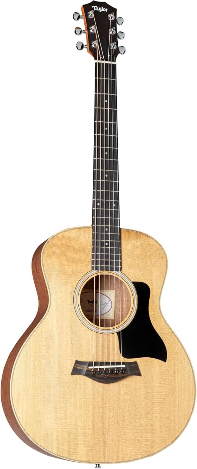 Sapele GS Mini by Taylor