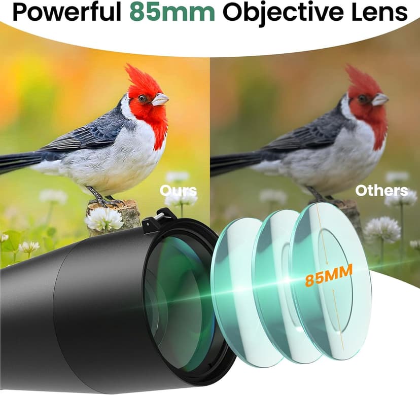 Gosky 20-60×85 Spotting Scope with Tripod - Phone Adapter, Dual Focusing Spotter Scope for Bird Watching, Wildlife Scenery (Black)