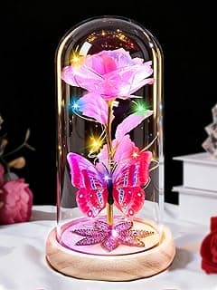 Beferr Christmas Rose Gifts for Women Mom Birthday Gifts, Galaxy Glass Rose Forever Preserved Flowers for Delivery Prime Light Up Rose in Glass Dome with Butterfly Xmas Gifts for Grandma Her Wife