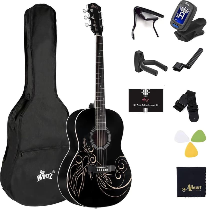 WINZZ AF227A 39 Inches Concert Acoustic Acustica Guitar with Full Kit, Delicate Vine