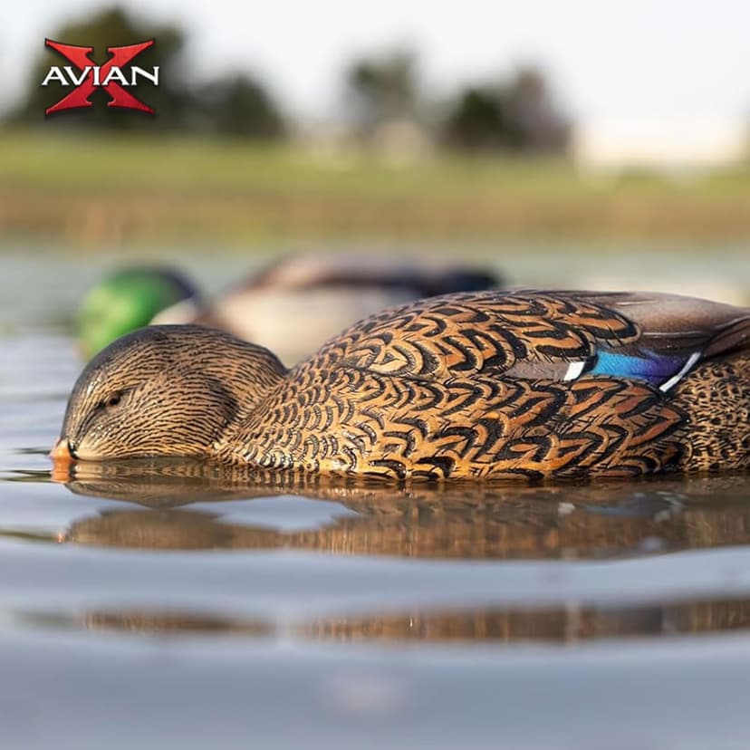 Avian-X Power Shaker Motion Decoy