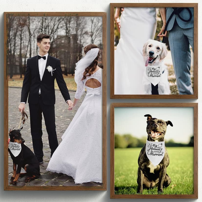 Engagement Gift, My Humans are Getting Married Dog Bandana, Wedding Photo Prop, Pet Scarf, Dog Engagement Announcement, Pet Accessories (Black) B09FDTW997