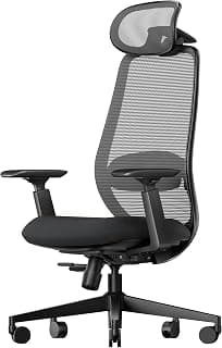 ProtoArc EC200 Ergonomic Office Chair – High-Back Mesh Computer Chair with Lumbar Support, Adjustable Seat Depth & 3D Headrest Ergo Desk Chairs for Work from Home, 8+ Hours Comfort – Black