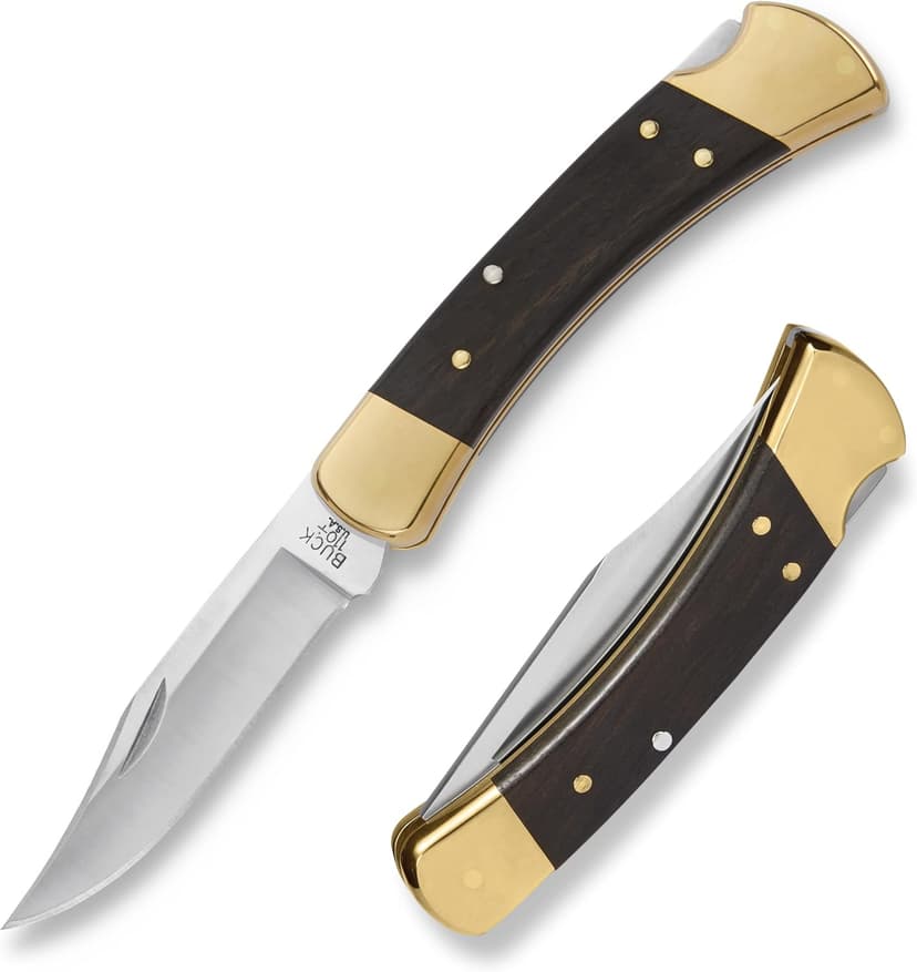 Buck Knives 110 Folding Hunter Knife, 3-3/4" Blade, Lockback Design, Ebony Handle, Brass Bolsters, 420HC Stainless Steel Clip Point Blade, Sheath Included, Hunting Knife Made in the USA, 7.2 oz