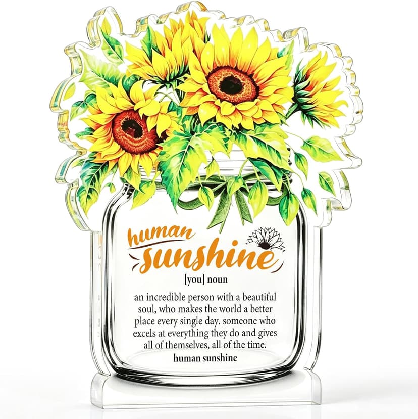 Motivational Inspirational Gift for Coworker Teacher Employee Leader Friend Coach, Definition Acrylic Office Desk Decor Human Sunshine Appreciation Gifts, Christmas Thank You Gifts for Women Men B0H3C7LC9Y