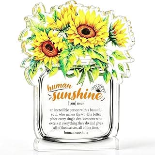 Motivational Inspirational Gift for Coworker Teacher Employee Leader Friend Coach, Definition Acrylic Office Desk Decor Human Sunshine Appreciation Gifts, Christmas Thank You Gifts for Women Men B0H3C7LC9Y