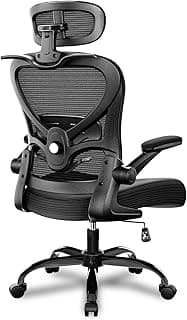 Freepub Ergonomic Office Chair with Headrest 3D, Mesh Office Desk Chair with Adjustable Lumbar Support, Computer Chair with Flip up Armrests, 350LBS Capacity - Design for Home/Offices - Black