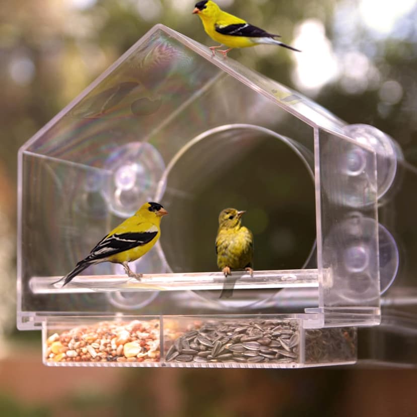 Nature Anywhere Window Bird Feeder - Transparent Acrylic Bird Feeders for Outdoors - Enhanced Suction Grip, Bird Watching for Cats, Easy-to-Clean, Outdoor Birdhouse Feeder (1 Unit)