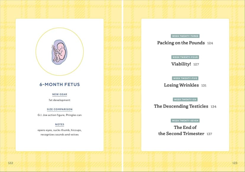 We're Pregnant! The First Time Dad's Pregnancy Handbook