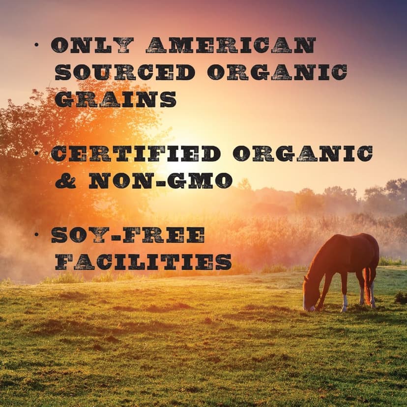 New Country Organics | Loyalty Senior Horse Pellets for Horses 15+ Years Old | Corn-Free and Soy-Free | 16% Protein | Certified Organic and Non-GMO | Nutrition for Senior Horses 40 lbs | Grain Feed