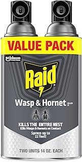 Raid Wasp & Hornet Killer Spray, Kills the Entire Nest, For Paper Wasps, Yellow Jackets, Mud Daubers and more, 14 oz (Pack of 2)