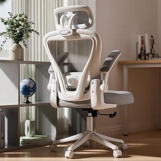 SeekFancy Ergonomic Office Chair M903, Computer Desk Chair with Wheels, High Back Mesh Office Chair with Adjustable Lumbar Support, Headrest, Flip-Up Armrests, White Grey