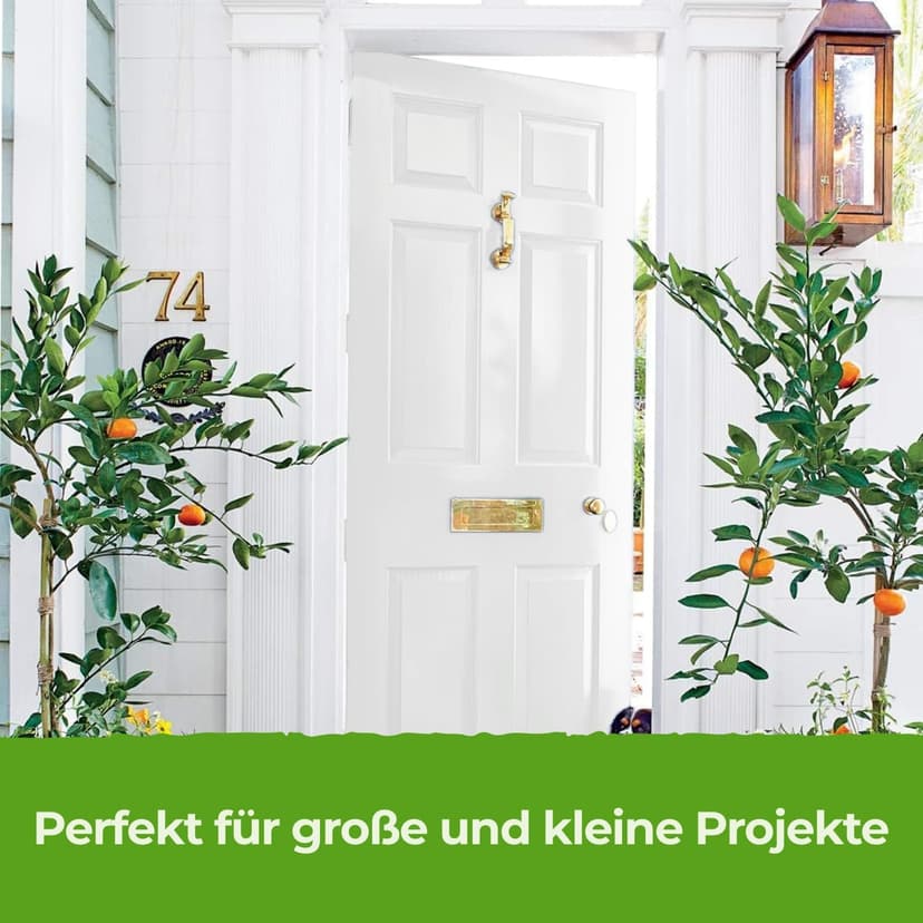 THE ONE All-In-One Paint & Primer - White Gloss, 84.5 Fl Oz/2.5 Liter | 1 Coat Formula | Easy Indoor & Outdoor Decorating for Home & Garden Walls, Floors & Furniture | Water-Based & Low VOC