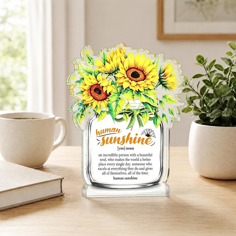 Motivational Inspirational Gift for Coworker Teacher Employee Leader Friend Coach, Definition Acrylic Office Desk Decor Human Sunshine Appreciation Gifts, Christmas Thank You Gifts for Women Men B0H3C7LC9Y
