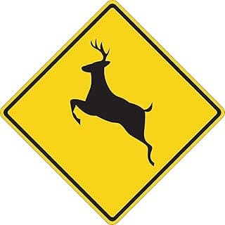 Rogue River Tactical Deer Crossing Hunter Buck Decal Sticker Silhouette Large 5x5 Inch Auto Bumper Vinyl Car Truck RV SUV Boat Window Hunting
