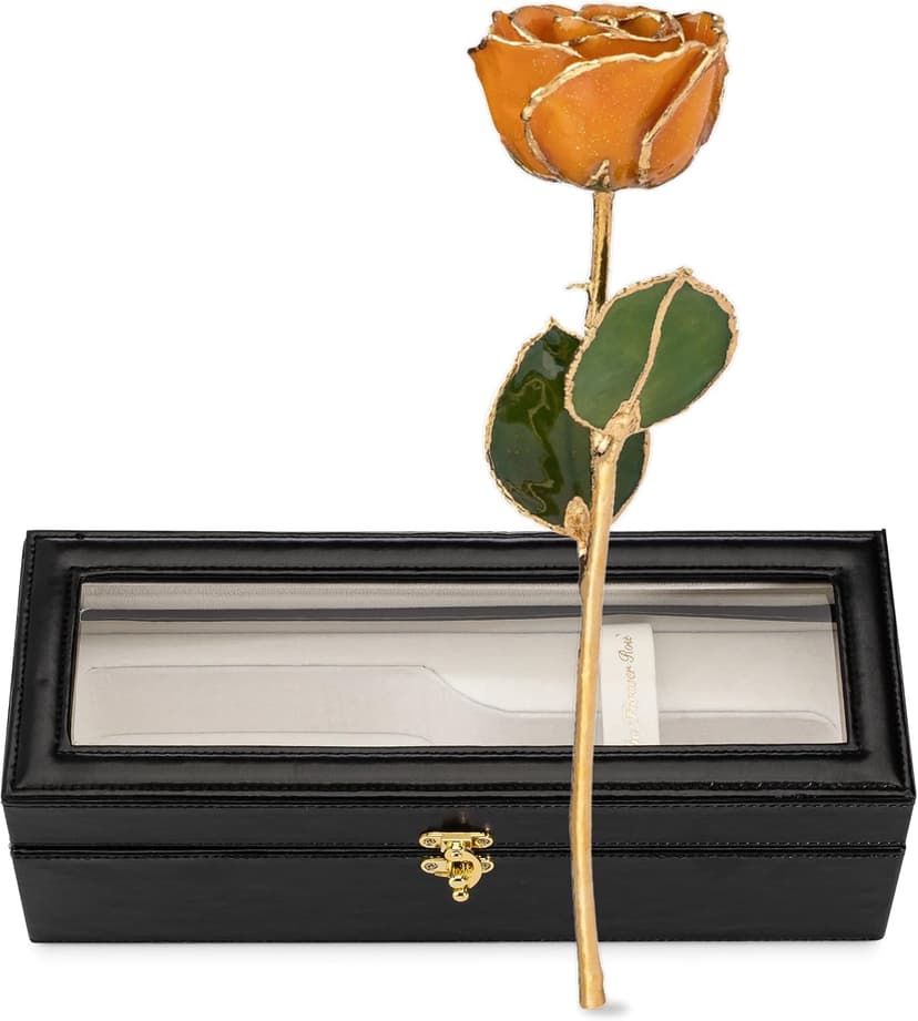 Real Rose with Sparkles in Leather Case with LED Light, Perfect Ready to Gift for Birthday or Any Occasion Forever Rose Hand-Dipped in 24K Gold, Golden Topaz November Birthstone B0CJHZLJVG