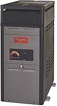 Raypak 014779 PR106AENC 105000 BTU Natural Gas Pool Heater