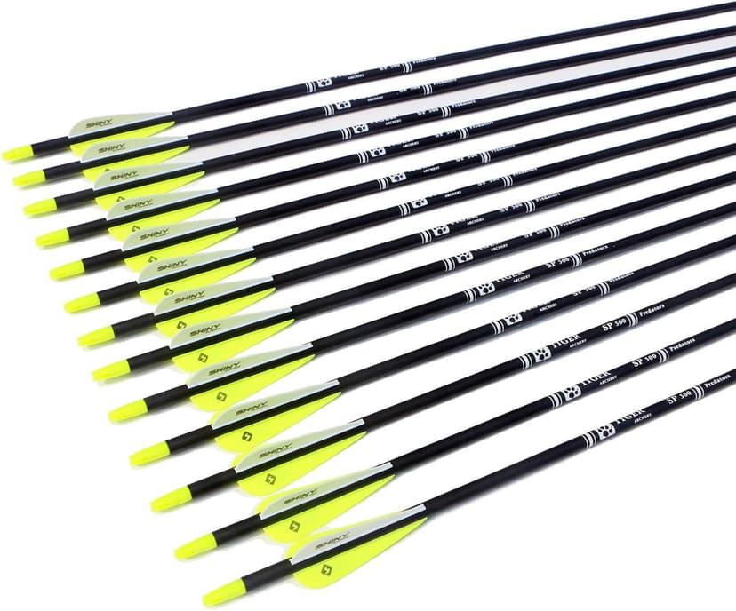 TIGER ARCHERY 30Inch Carbon Arrow Practice Hunting Arrows with Removable Tips for Compound & Recurve Bow(Pack of 12)