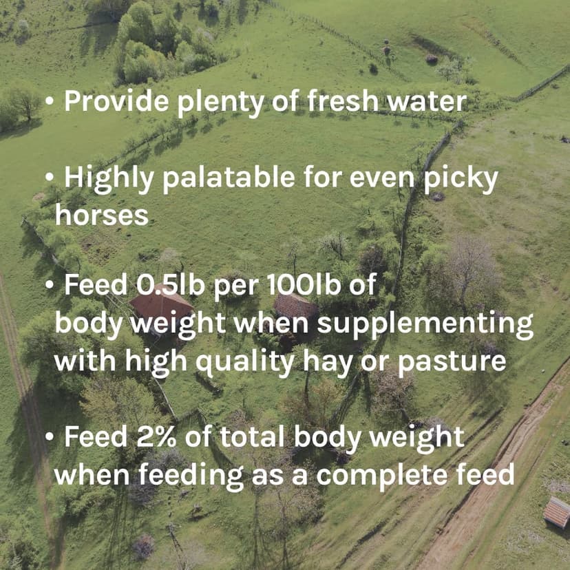 New Country Organics | Loyalty Senior Horse Pellets for Horses 15+ Years Old | Corn-Free and Soy-Free | 16% Protein | Certified Organic and Non-GMO | Nutrition for Senior Horses 40 lbs | Grain Feed