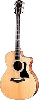 Taylor 114ce Grand Auditorium Acoustic-Electric Guitar with Structured Gig Bag