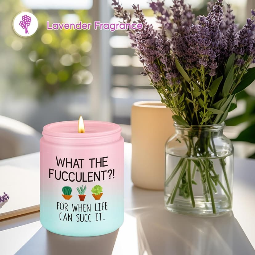Pick Me up, Break up Gifts for Women Her, Funny Birthday Christmas Cool Gifts for Plant Lovers Mom Lady Friend Wife Miracu Succulent Candle, Get Well, Cheer up, Plant Lover Gifts for Women B0BJ2RSYBB