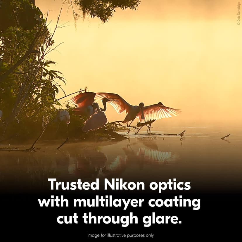 Nikon Action 8x42 Binocular | Multilayer-Coated Nikon Optics, Bright, Wide View, 8X Power, Turn-and-Slide Adjustable eyecups and Tripod-Ready Porro-Prism Design