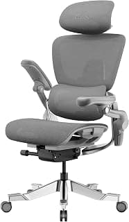 HINOMI H2 Pro Premium Ergonomic Office Chair - Comfy Home Office Desk Computer Chair with Adjustable Back Support, Swivel Wheels, Flip-up Arms, Comfortable Mesh Seat for Desk Work (Gray)
