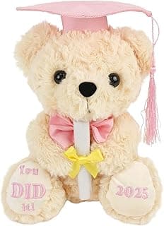 Class of 2025 Graduation Bear - Kindergarten Graduation Gift for Girls,Stuffed Plush Teddy Bear with Cap & Diploma, High School Graduation Gifts for Her, Grad Bear Gift 2025-8 Inch| You DID it (Pink)