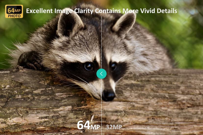 P70 (Non-Cellular,Non-WiFi) Trail Camera, 64MP 1296p, Game Cameras with No-Glow IR Night Vision, Motion Activated, Waterproof for Wildlife Deer Cams, Hunting