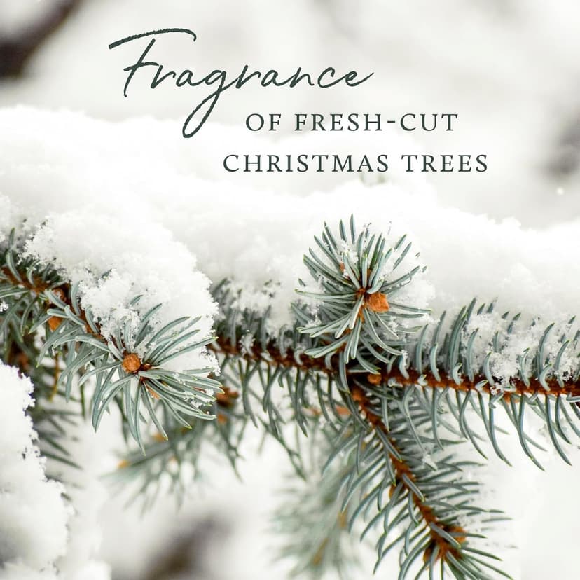 Thymes Frasier Fir Candle – Pine Needle Design – Holiday Scented Candle – Notes of Crisp Siberian Fir, Cedarwood & Sandalwood – Luxury Home Fragrance Gifts for Women & Men – Silver (Statement, 2 oz) B08CVRZ6M9