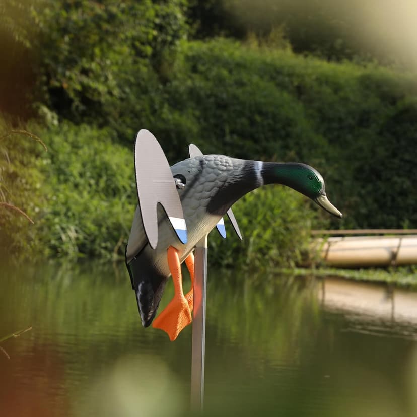 Realistic Mallard Duck Models That Hunting Enthusiasts Love as decoys and Ornaments