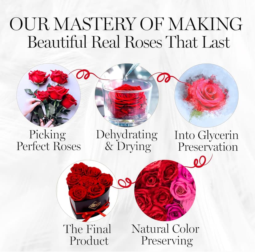 Small keepsake flower box for women, unique trinket and memory gift, cute present for a girlfriend, teacher or coworker GLAMOUR BOUTIQUE Preserved Flowers, 7 Forever Red Roses in Heart Gift Box