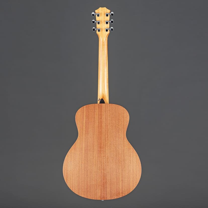 Sapele GS Mini by Taylor
