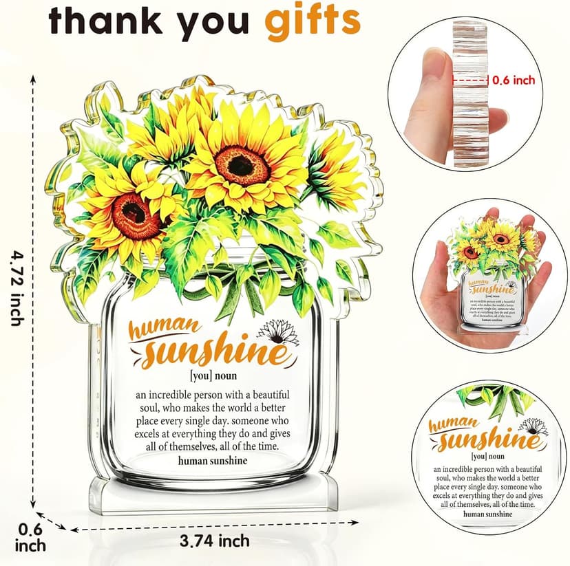 Motivational Inspirational Gift for Coworker Teacher Employee Leader Friend Coach, Definition Acrylic Office Desk Decor Human Sunshine Appreciation Gifts, Christmas Thank You Gifts for Women Men B0H3C7LC9Y