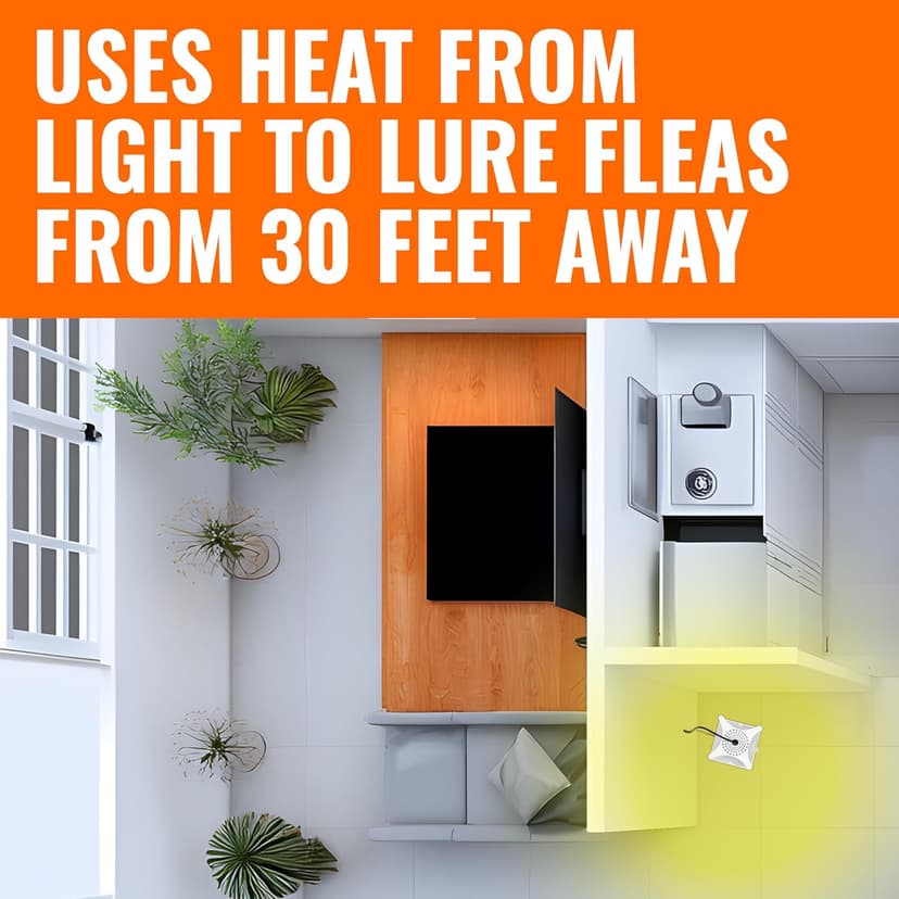 Terro T230 Indoor Electric Flea Trap and Killer - Refillable Flea Traps for Inside Your Home